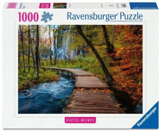 Puzzle 1000 Autumnal Wooden Trail
