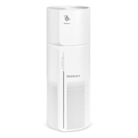 OCZYSZCZACZ POWIETRZA WEBBER AP8250