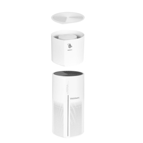 OCZYSZCZACZ POWIETRZA WEBBER AP8250