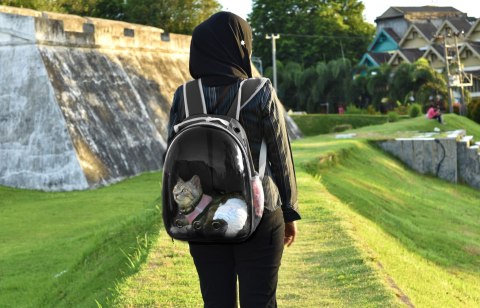 PLECAK DLA KOTA PSA TRANSPORTER Z SZYBĄ