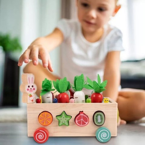 Układanka Montessori sorter klocków Złap Robaczka drewniany wózek marchewki