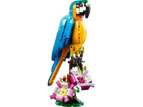LEGO(R) CREATOR 31136 Egzotyczna papuga