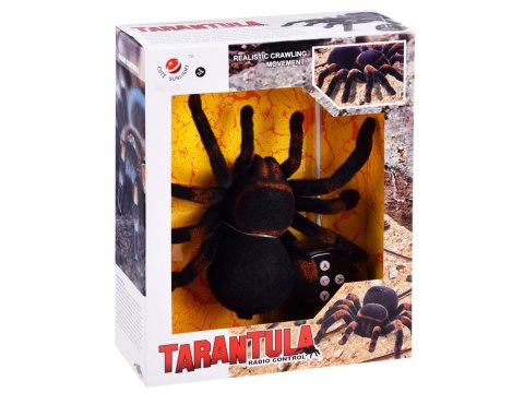 Zdalnie sterowany ogromny realistyczny PAJĄK tarantula pilot RC0251