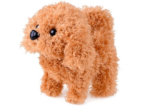 Interaktywny Piesek zestaw mały weterynarz akcesoria transporter ZA4356