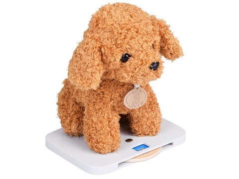 Drewniany szpital dla zwierząt Weterynarz dla dzieci piesek pluszowy ZA5939