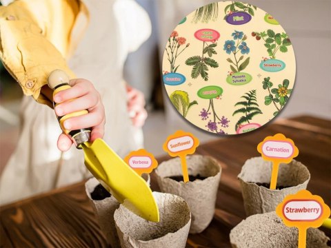 Zestaw Małego Ogrodnika BIO Szklarnia Nasiona Doniczki Uprawa Roślin ZA5776