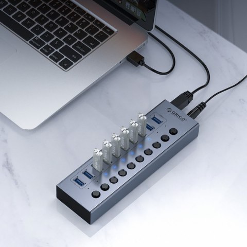 Hub BT2U3-10AB z włącznikami 10x USB-A - szary